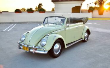 Volkswagen-beetle-1960-green-9