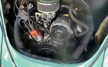 Volkswagen-beetle-1961-green-3