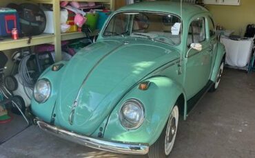 Volkswagen-beetle-1961-green-4