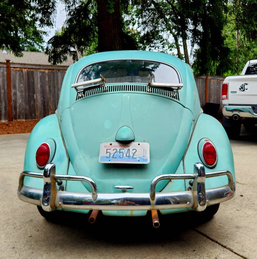 Volkswagen-beetle-1962-4
