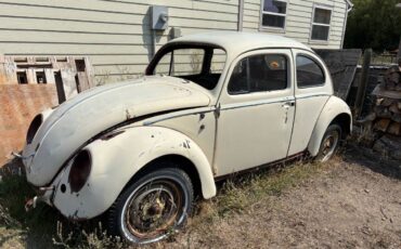Volkswagen-beetle-1962-white-1