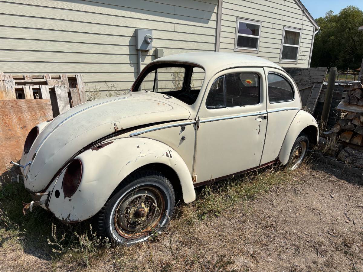 Volkswagen-beetle-1962-white-1