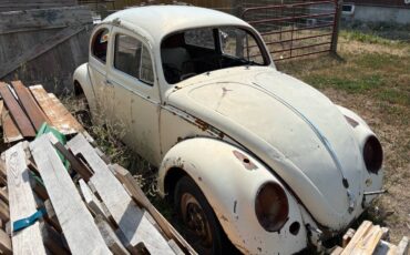 Volkswagen-beetle-1962-white-14
