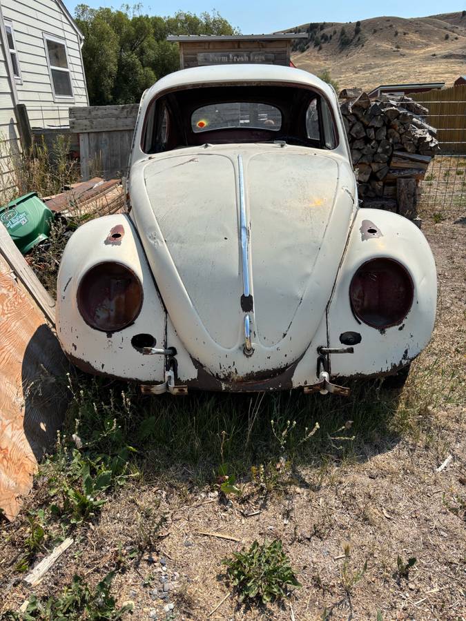 Volkswagen-beetle-1962-white-2