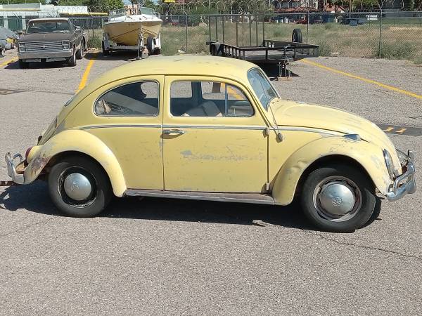 Volkswagen-beetle-1964-1
