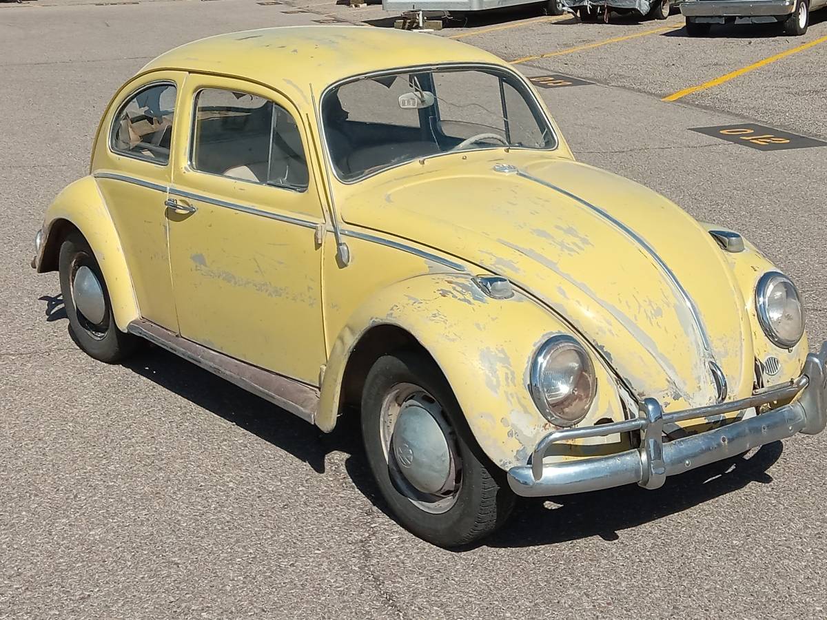 Volkswagen-beetle-1964-18