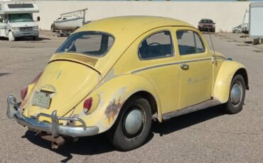 Volkswagen-beetle-1964-22