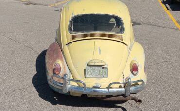 Volkswagen-beetle-1964-23