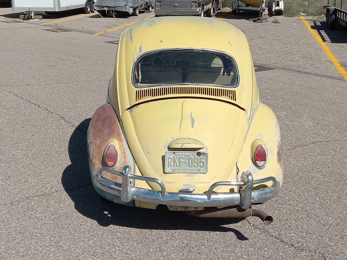 Volkswagen-beetle-1964-23