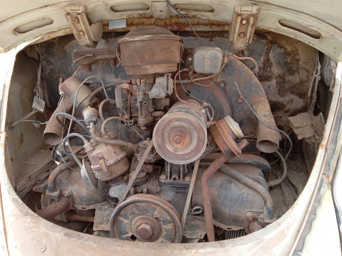 Volkswagen-beetle-1964-29