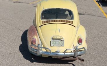 Volkswagen-beetle-1964-37