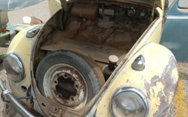 Volkswagen-beetle-1964-56
