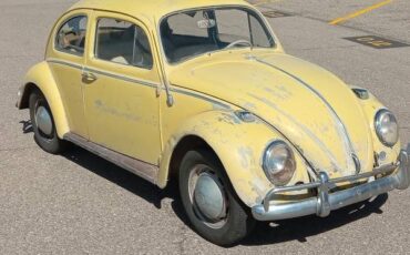Volkswagen-beetle-1964-6