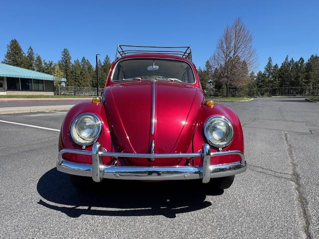 Volkswagen-beetle-1964-red-10