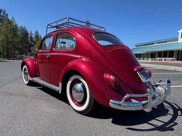 Volkswagen-beetle-1964-red-4