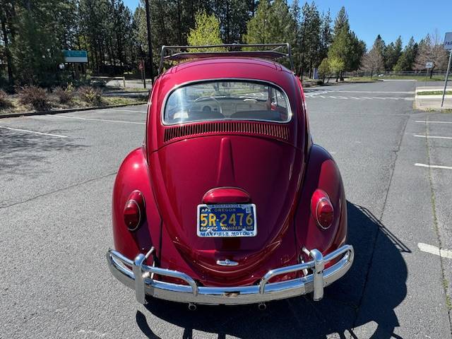 Volkswagen-beetle-1964-red-5
