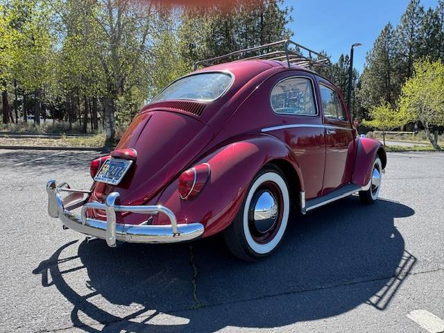 Volkswagen-beetle-1964-red-7