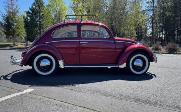 Volkswagen-beetle-1964-red-8