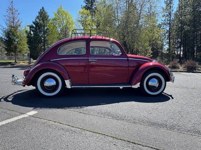 Volkswagen-beetle-1964-red-8