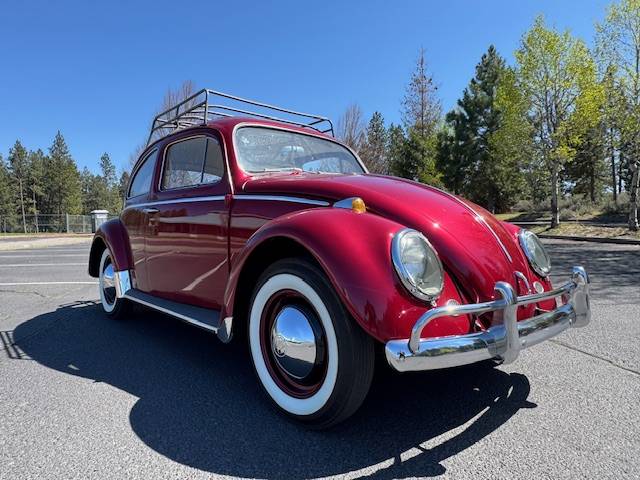 Volkswagen-beetle-1964-red-9