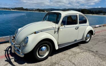 Volkswagen-beetle-1965-1
