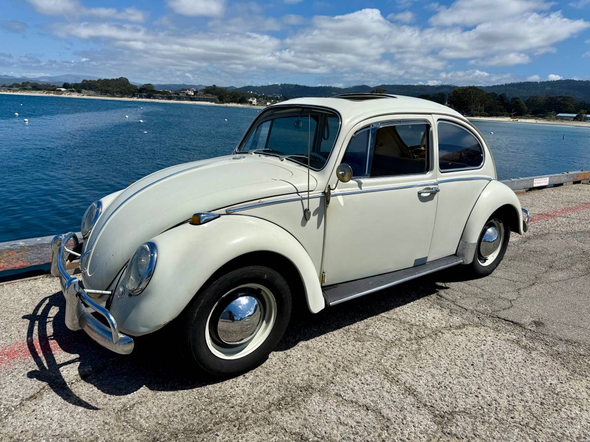 Volkswagen-beetle-1965-1