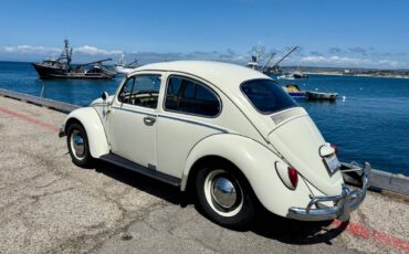 Volkswagen-beetle-1965-2