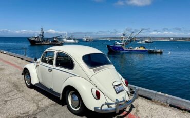 Volkswagen-beetle-1965-3