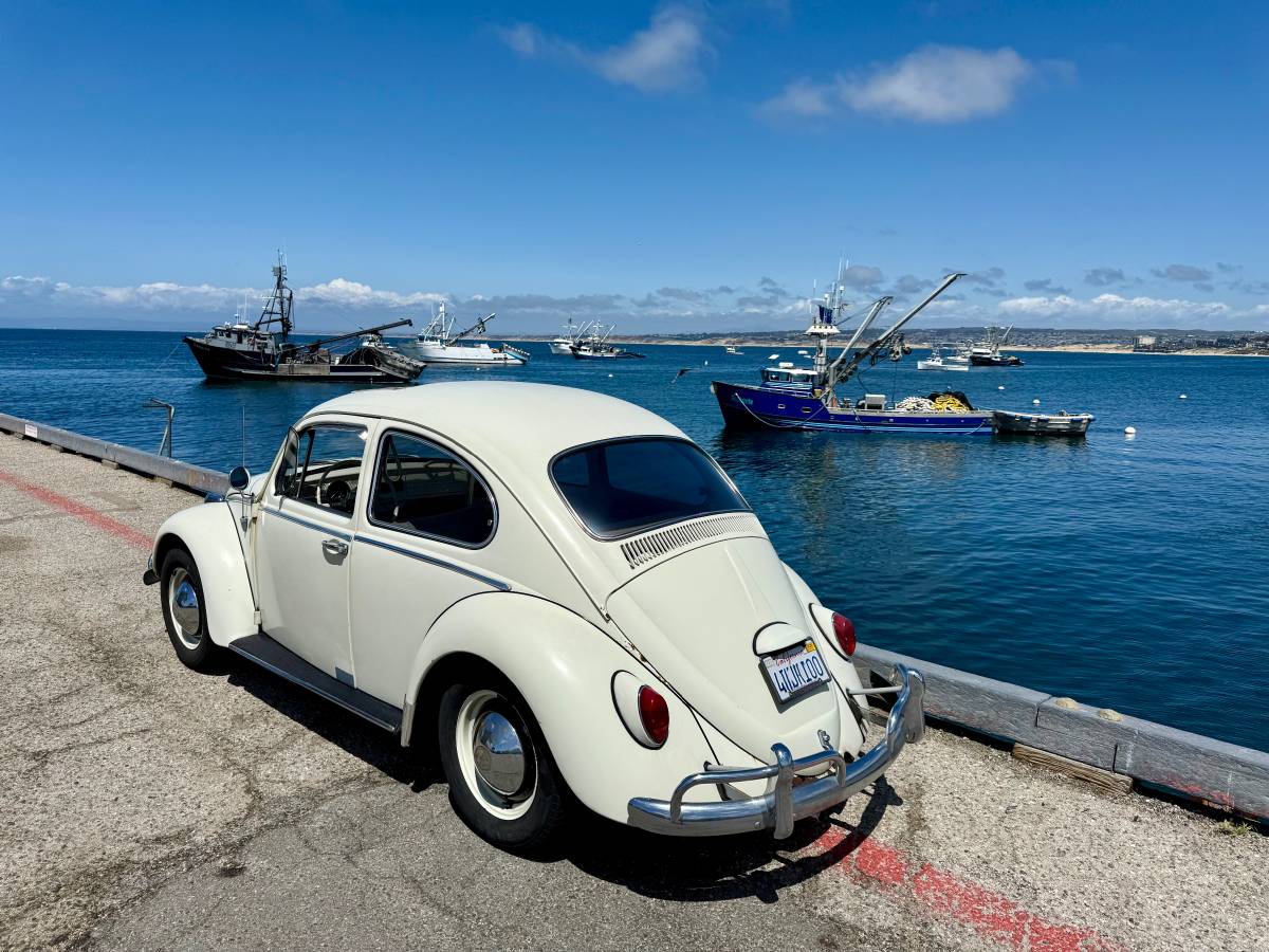 Volkswagen-beetle-1965-3