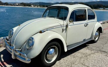 Volkswagen-beetle-1965