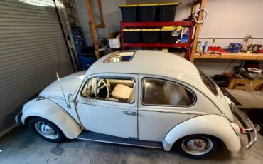 Volkswagen-beetle-1965-5