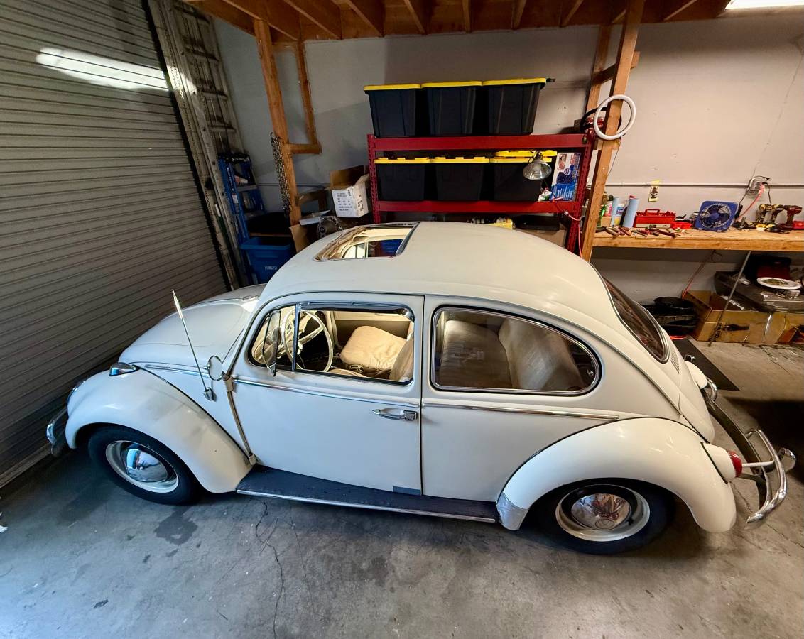 Volkswagen-beetle-1965-5