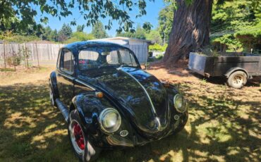 Volkswagen-beetle-1965-black