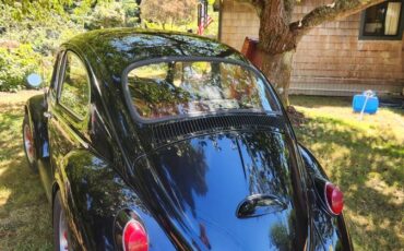 Volkswagen-beetle-1965-black-5