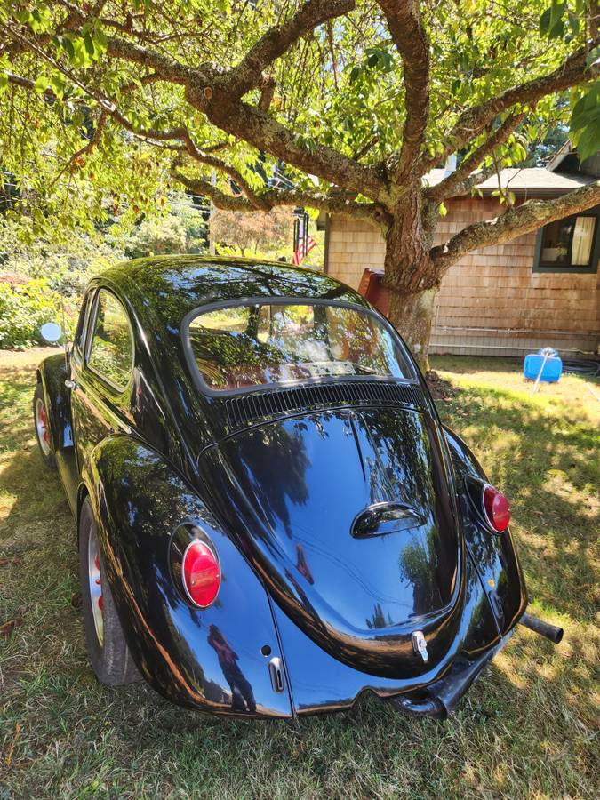 Volkswagen-beetle-1965-black-5