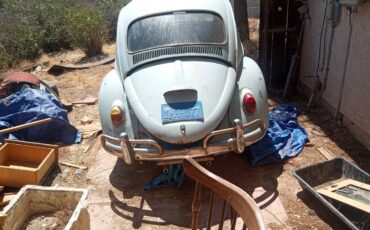 Volkswagen-beetle-1965-blue