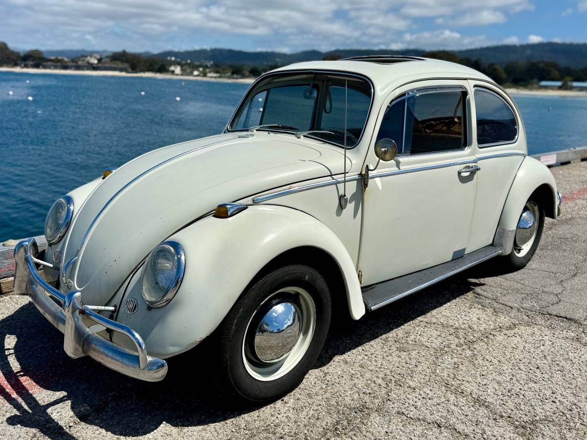 Volkswagen-beetle-1965