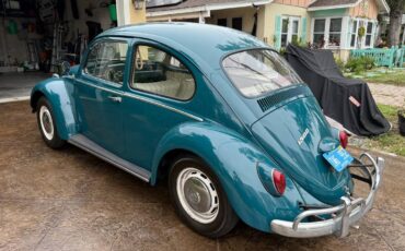 Volkswagen-beetle-1966-2