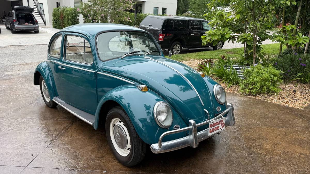 Volkswagen-beetle-1966-4