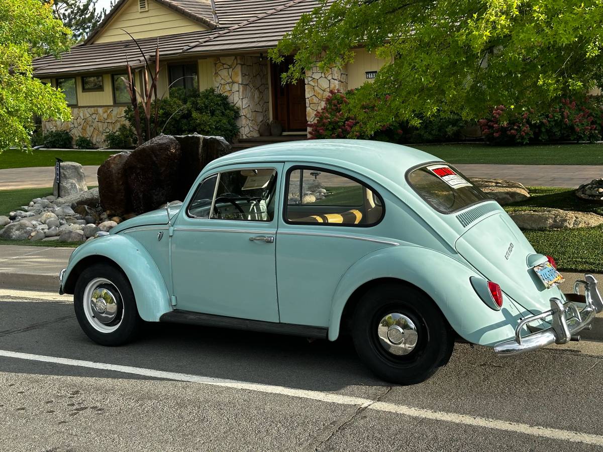 Volkswagen-beetle-1966-blue-3