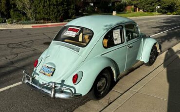Volkswagen-beetle-1966-blue