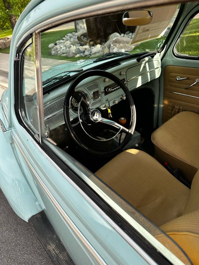 Volkswagen-beetle-1966-blue-4