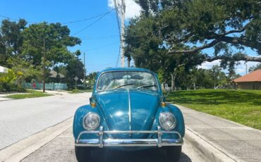 Volkswagen-beetle-1966-blue-6