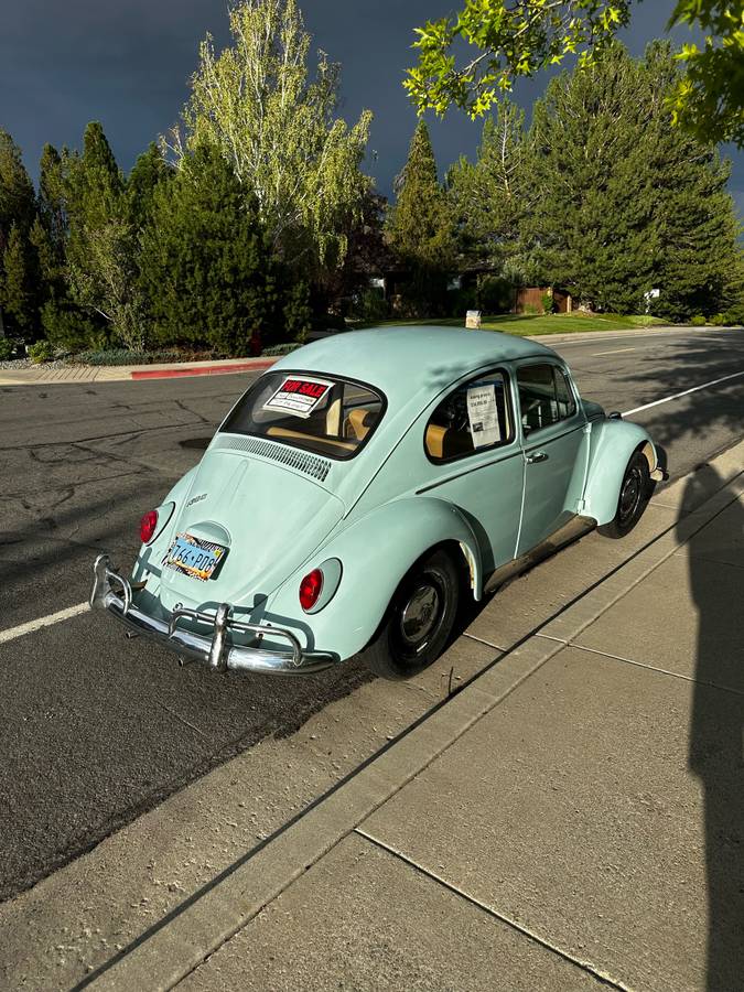 Volkswagen-beetle-1966-blue