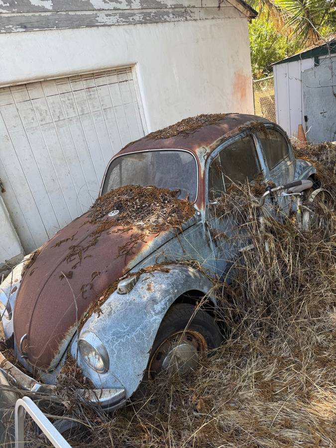 Volkswagen-beetle-1969-blue-3