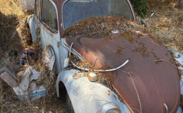 Volkswagen-beetle-1969-blue-4