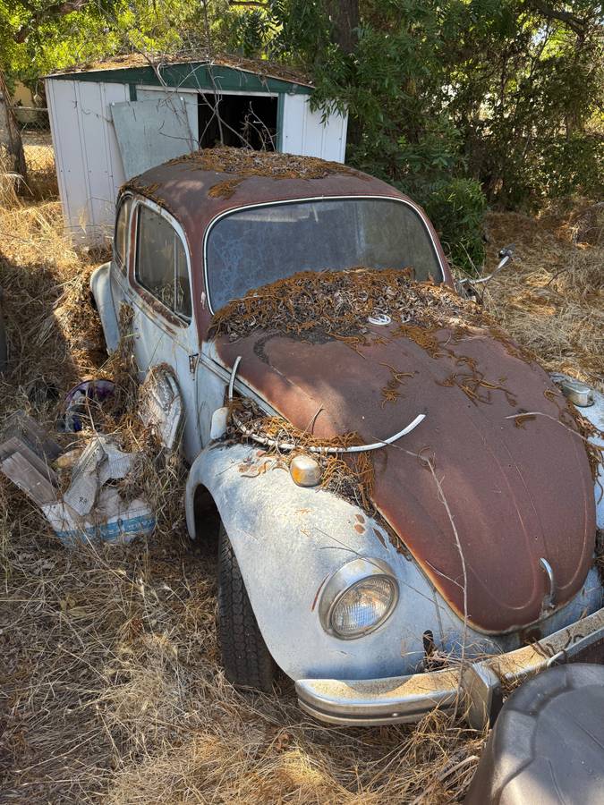 Volkswagen-beetle-1969-blue-4