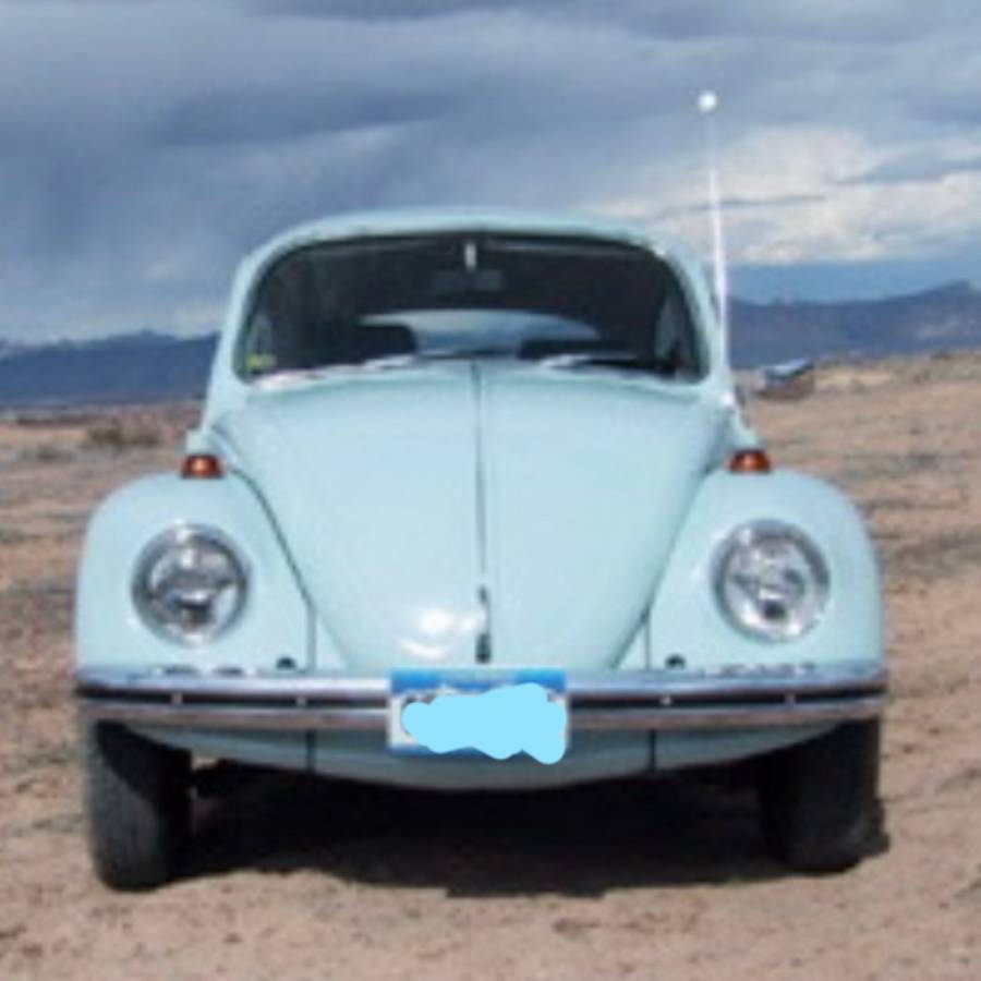 Volkswagen-beetle-1969-blue-6