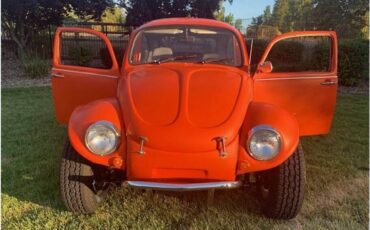Volkswagen-beetle-1972-11