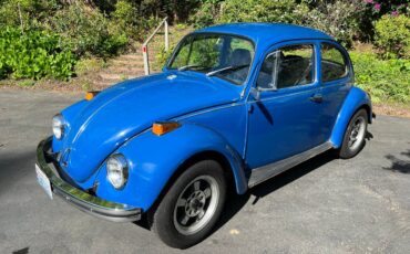 Volkswagen-beetle-1972-blue
